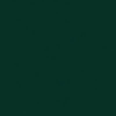 4174 Conifer