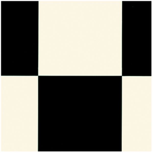 Echiquier 2 Black White