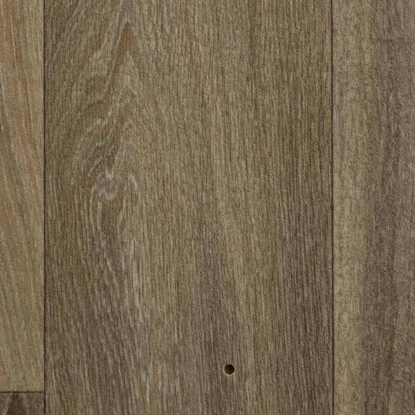 Havanna Oak 613M