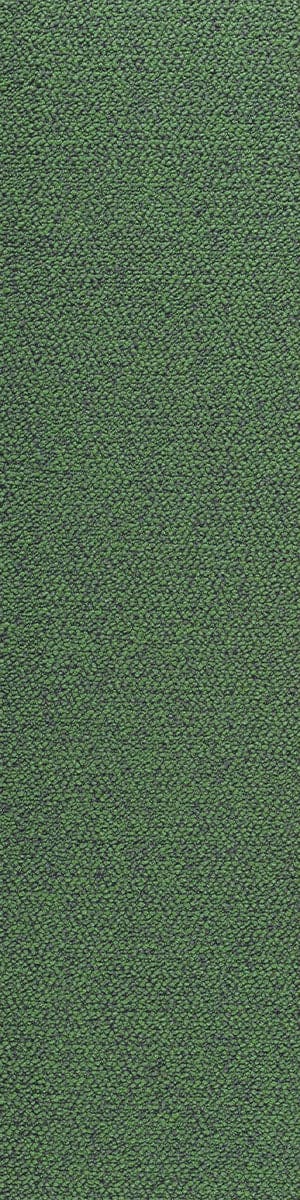 3342 Avocado Green