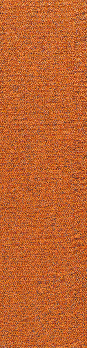 3362 Sienna Orange