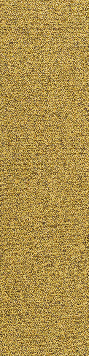 3372 Citron Yellow