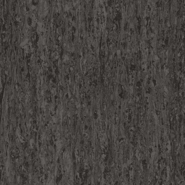 Neutral Black 244