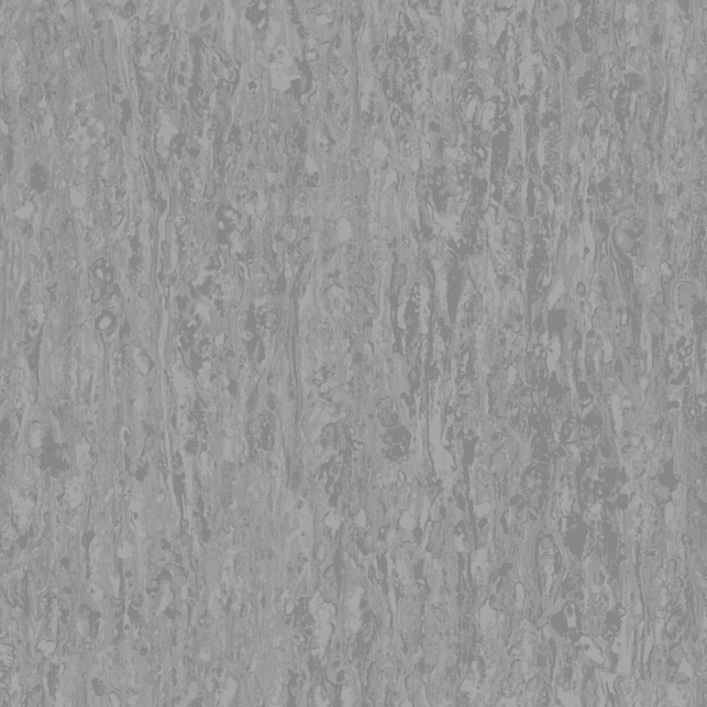 Neutral Grey 242