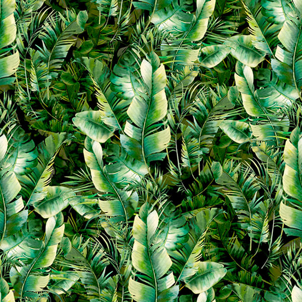 Jungle