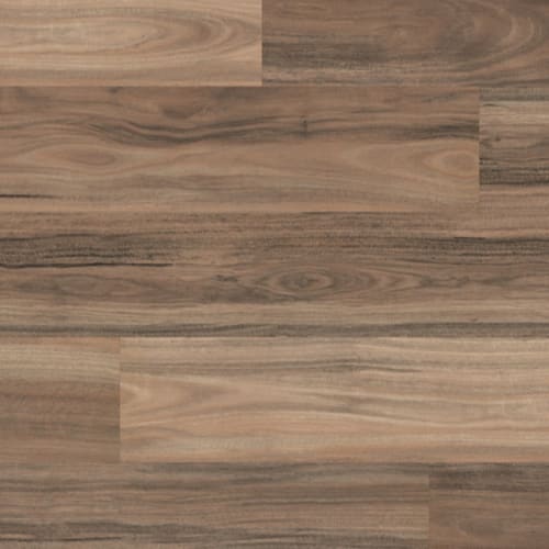 Australian Ghost Gum RKP8120