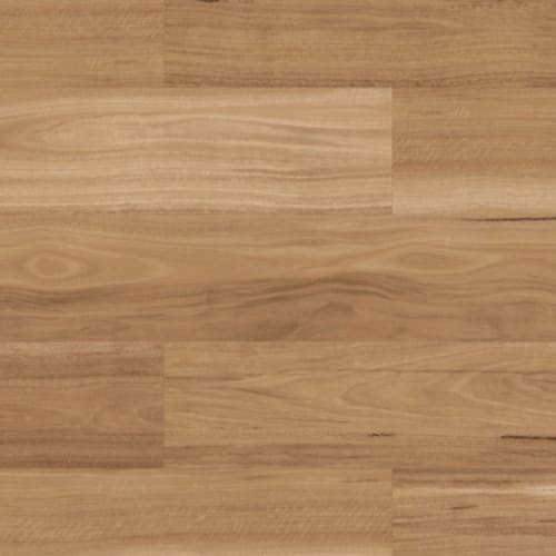 Warm Spotted Gum RKP8118