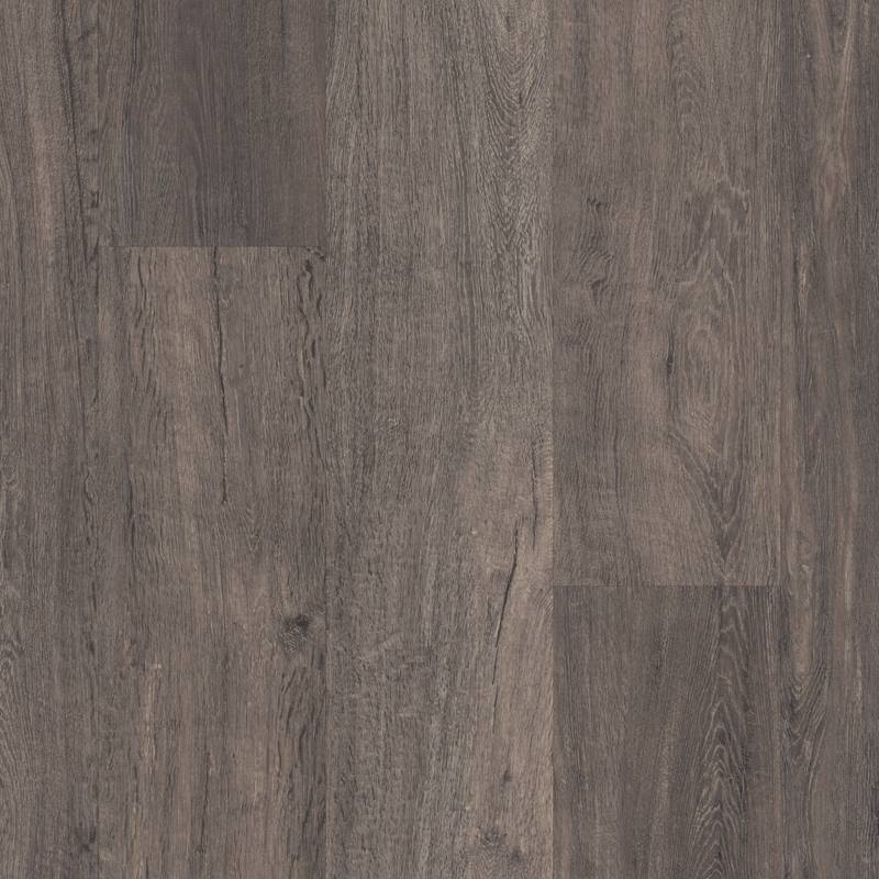 LLP302 Raven Oak