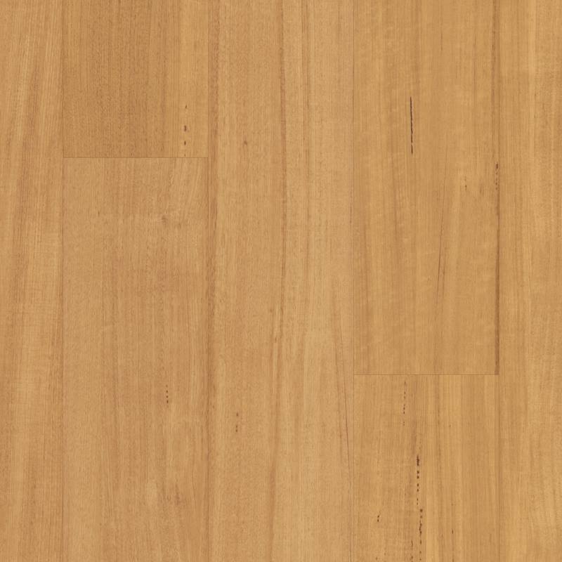 LLP312 Tasmanian Oak
