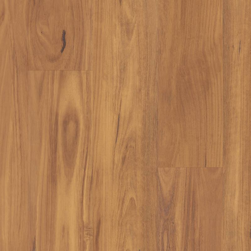 LLP314 Embered Blackbutt