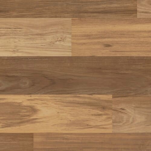LLP334 Australian Wormy Chestnut