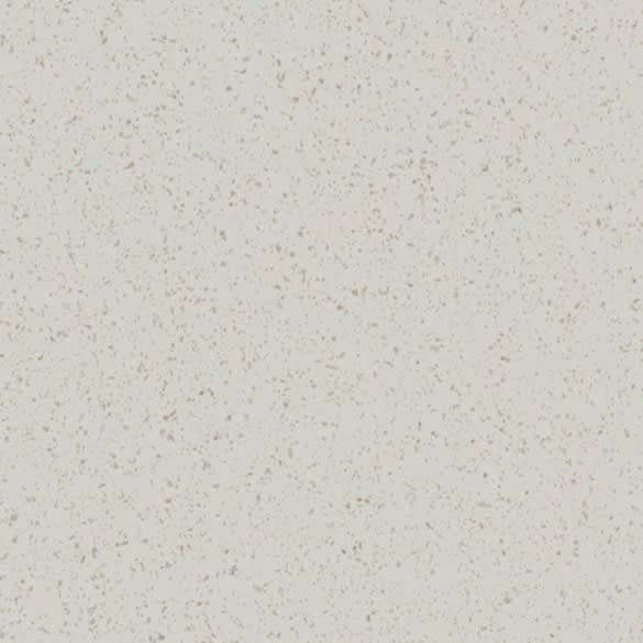 Oyster Shell