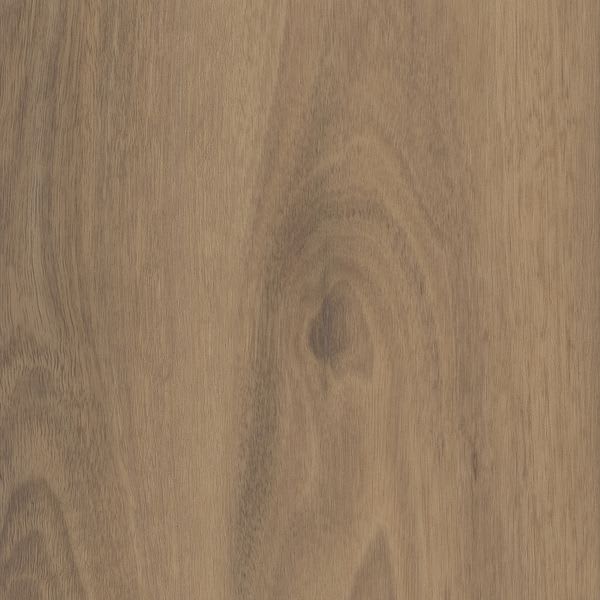 Mallee Spotted Gum 01