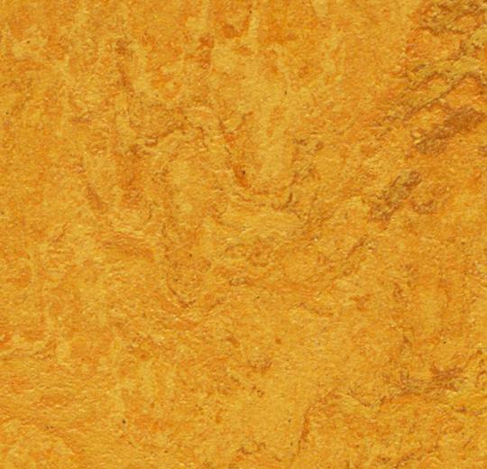 3125 Golden Sunset