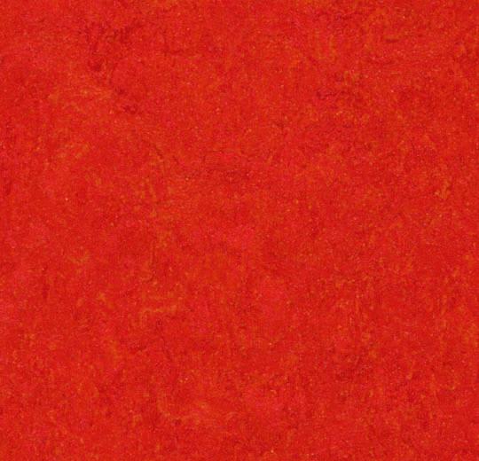 3131 Scarlet