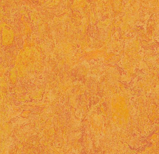 3226 Marigold