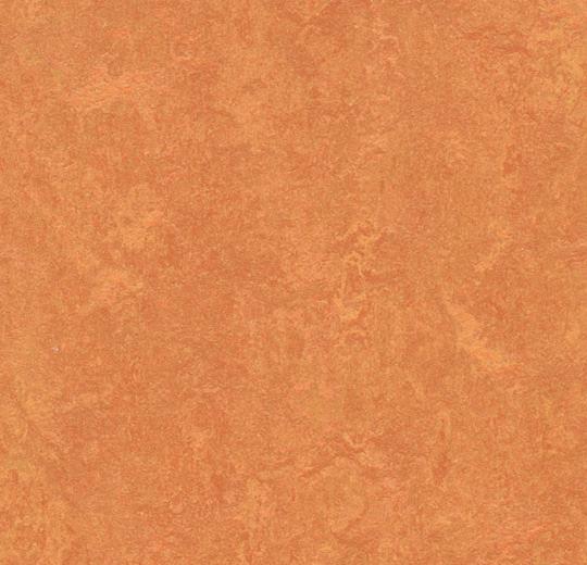 3825 African Desert