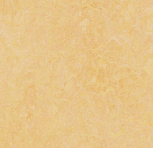 3846 Natural Corn