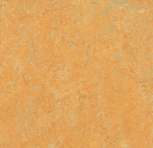 3847 Golden Saffron