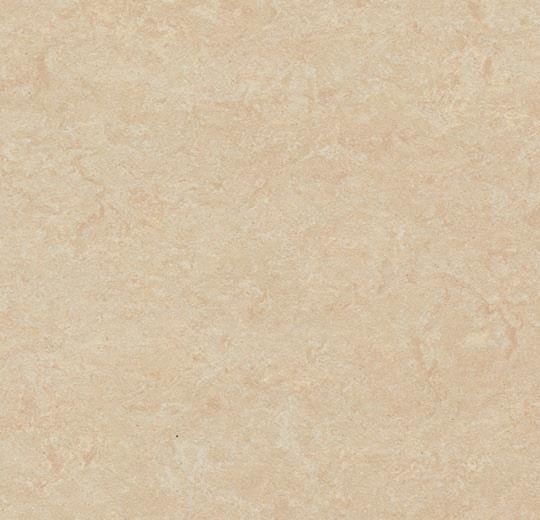 3861 Arabian Pearl