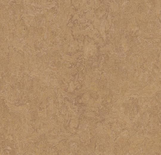 3876 Camel