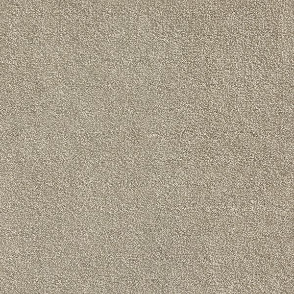 Warm Neutral