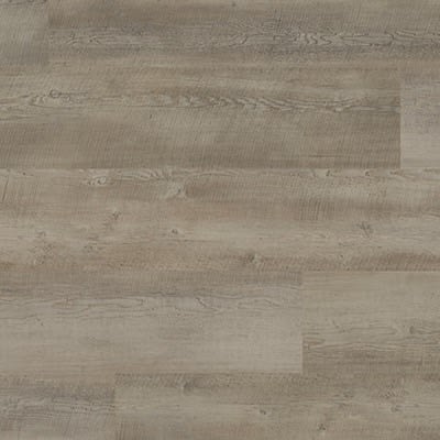 WP413 Magna