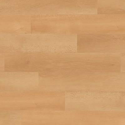 WP312 Palleo