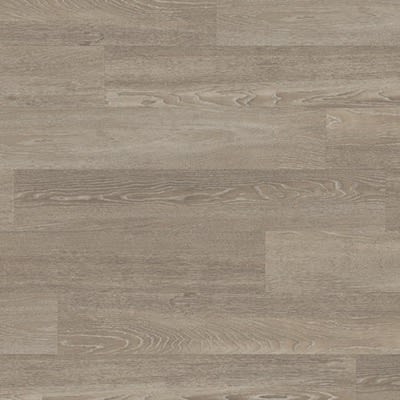 WP319 Talpa