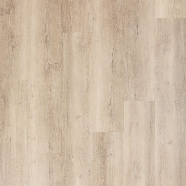 Paperbark Oak