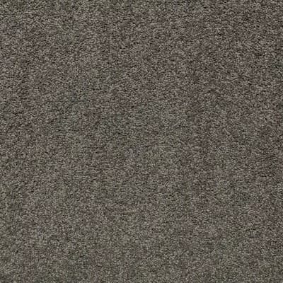 Peat Moss 070