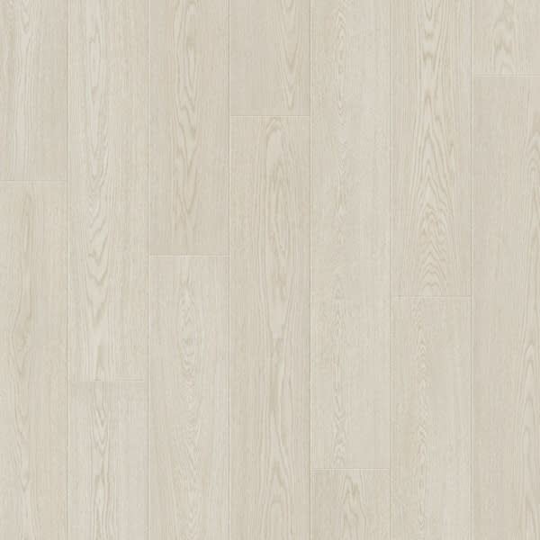North Cape Oak - L0339-04289