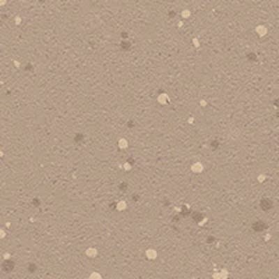 Caramel Latte 5213