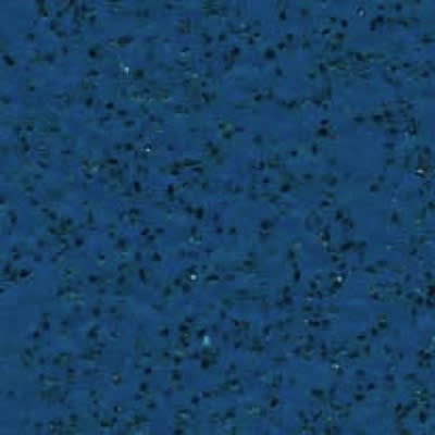 Cedar Blue