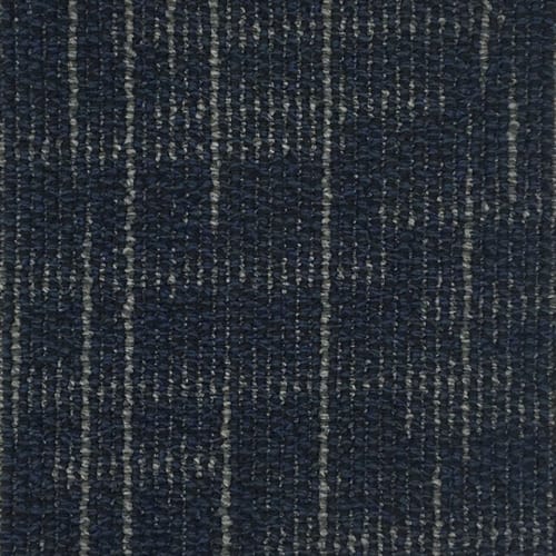 Primary Blue 556