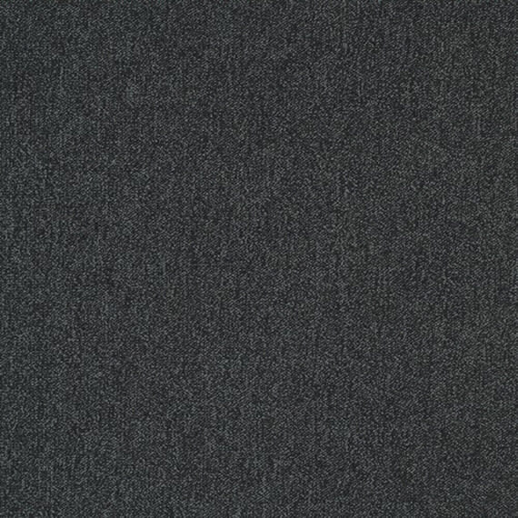RAPID106