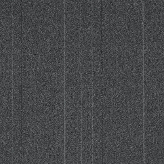 RAPID206