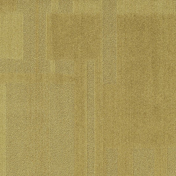 VIVID001-B52
