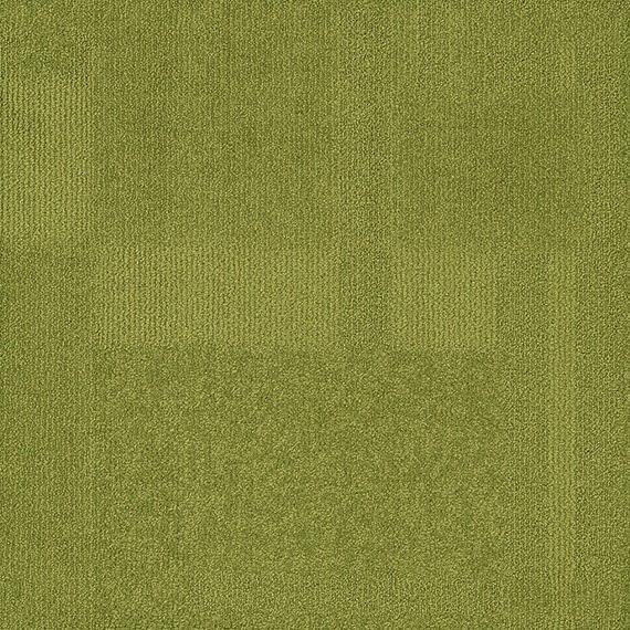 VIVID002-A14