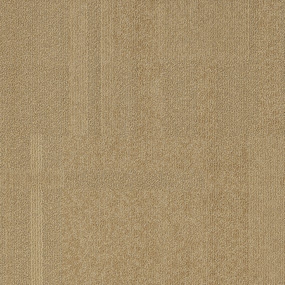 VIVID003-C52
