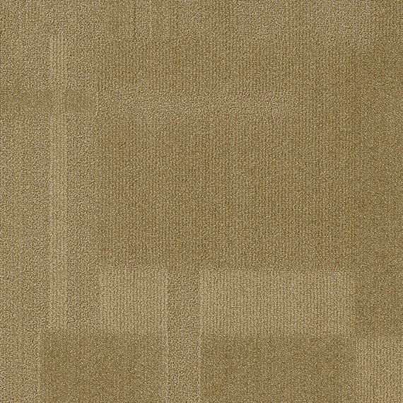 VIVID006-C53