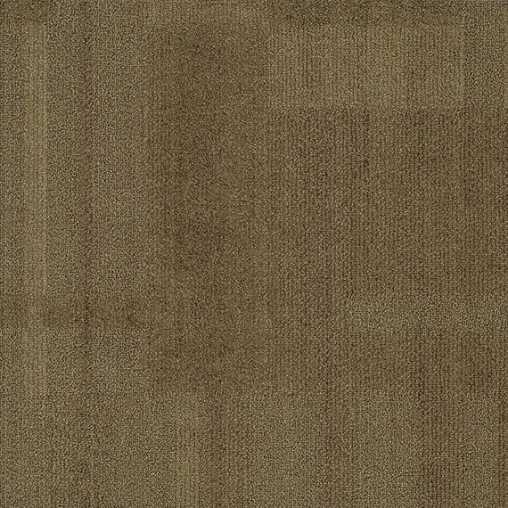 VIVID009-F54