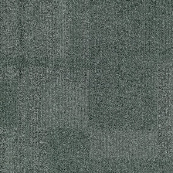 VIVID011-C62