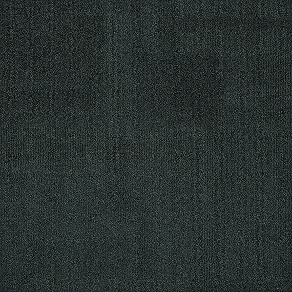 VIVID015-B65