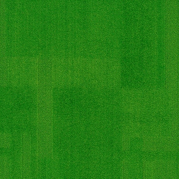 VIVID020-C13