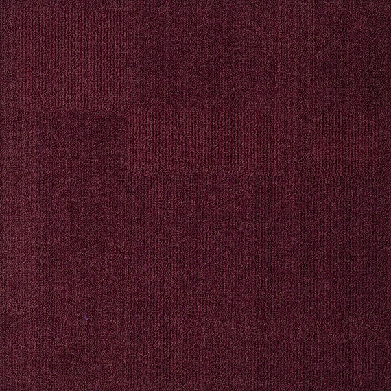 VIVID023-F36