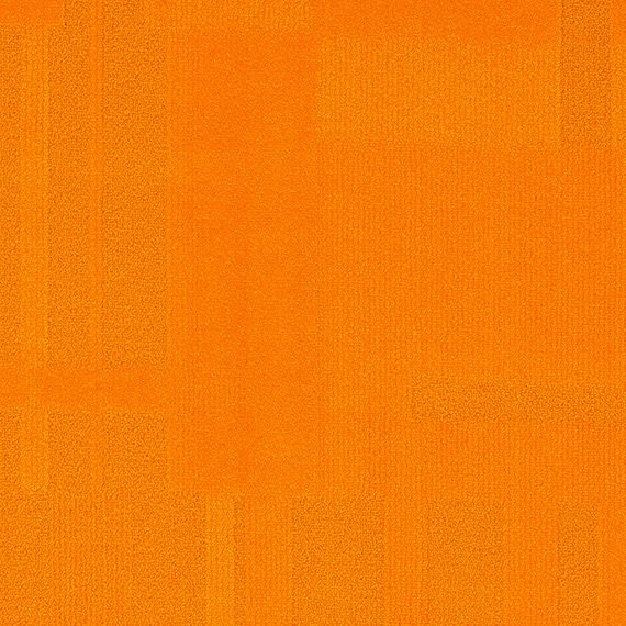 VIVID024-F43