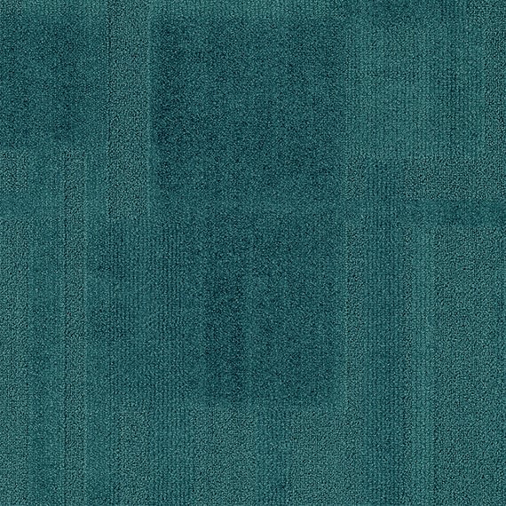 VIVID031-B24