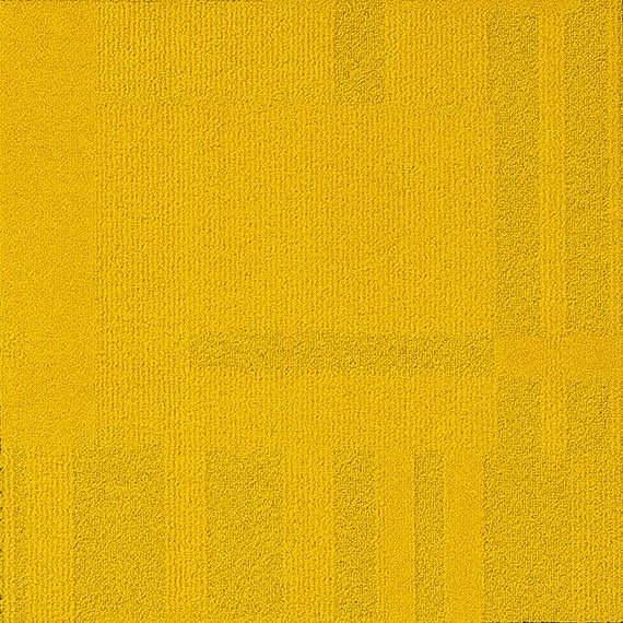 VIVID041-B54