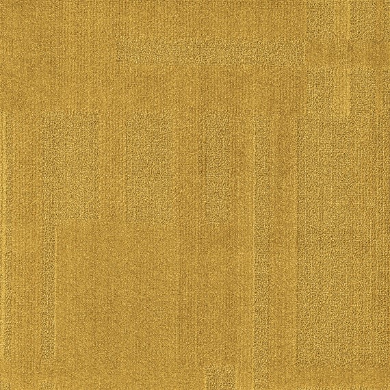 VIVID042-A56